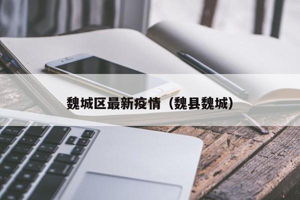 魏城区最新疫情（魏县魏城）