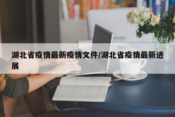 湖北省疫情最新疫情文件/湖北省疫情最新进展