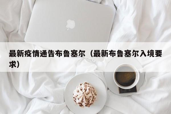 最新疫情通告布鲁塞尔（最新布鲁塞尔入境要求）