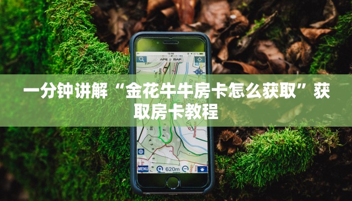 一分钟讲解“金花牛牛房卡怎么获取”获取房卡教程