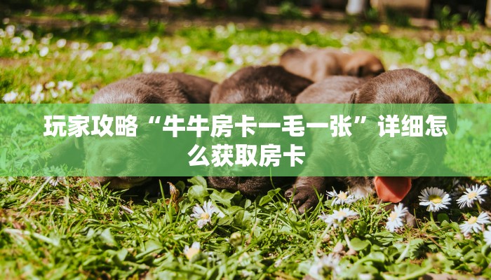 玩家攻略“牛牛房卡一毛一张”详细怎么获取房卡